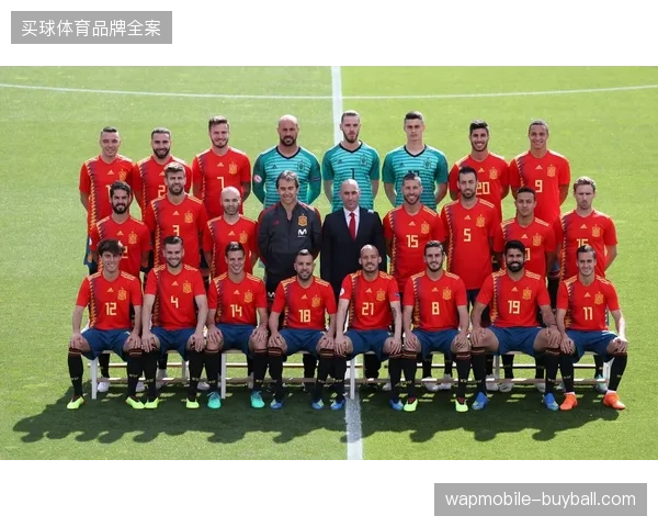 德尚手握欧洲顶级攻击组合，法国队豪华锋线储备提供多种战术变招可能